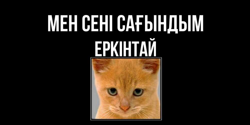Күн сайын ашық хат с именем, Еркінтай Мен сені сағындым открытки рыжий котенок скучает по тебе Онлайн тегін жүктеп алу тілектері бар керемет карта 