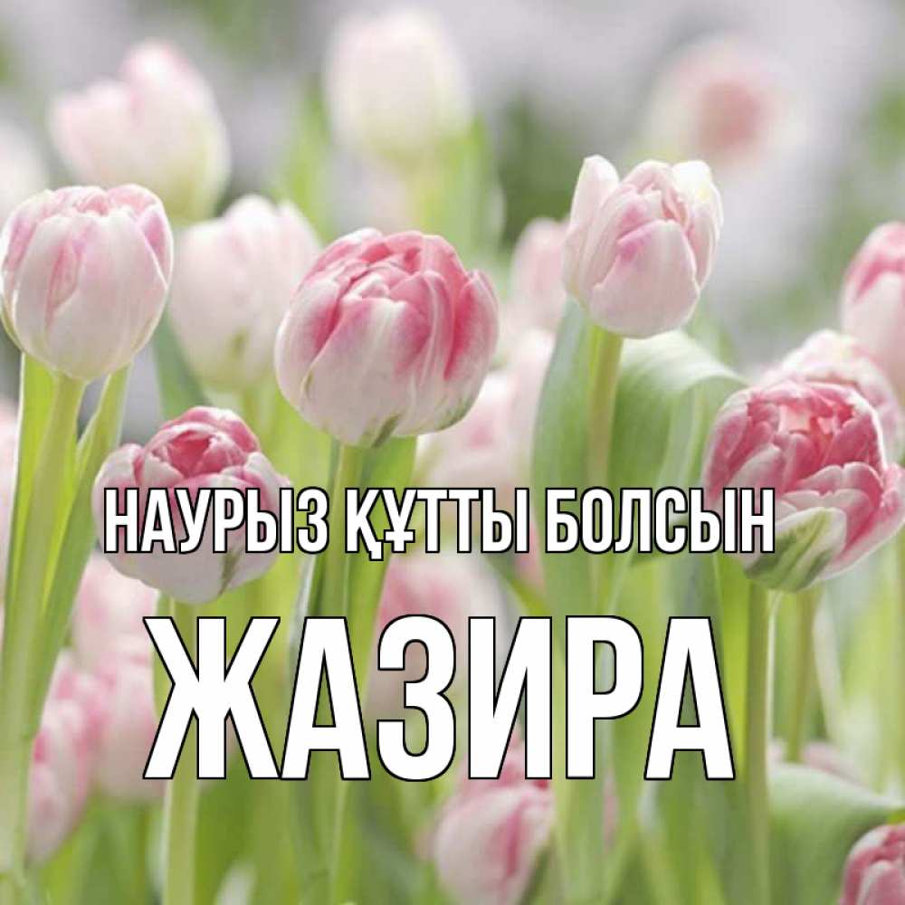 Күн сайын ашық хат с именем, ЖАЗИРА Наурыз құтты болсын цветы Онлайн тегін жүктеп алу тілектері бар керемет карта 
