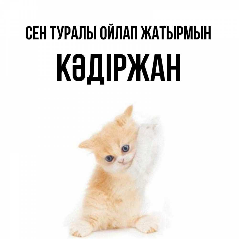 Күн сайын ашық хат с именем, Кәдіржан Сен туралы ойлап жатырмын зверушки и милота Онлайн тегін жүктеп алу тілектері бар керемет карта 