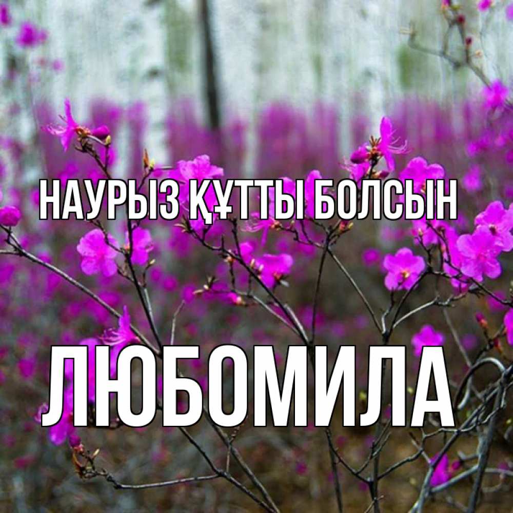 Күн сайын ашық хат с именем, Любомила Наурыз құтты болсын дикие цветы Онлайн тегін жүктеп алу тілектері бар керемет карта 