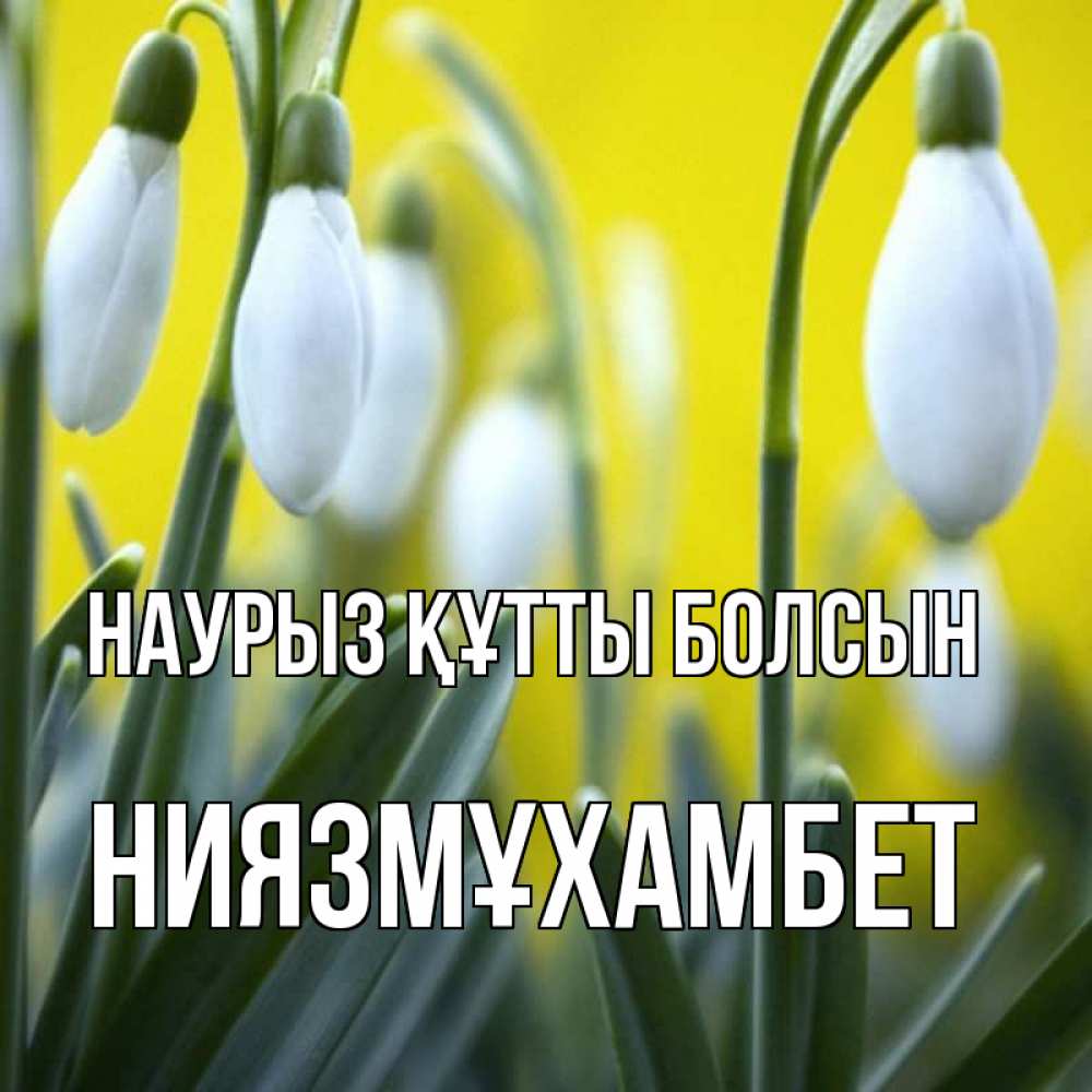 Күн сайын ашық хат с именем, НИЯЗМҰХАМБЕТ Наурыз құтты болсын весенние цветы Онлайн тегін жүктеп алу тілектері бар керемет карта 