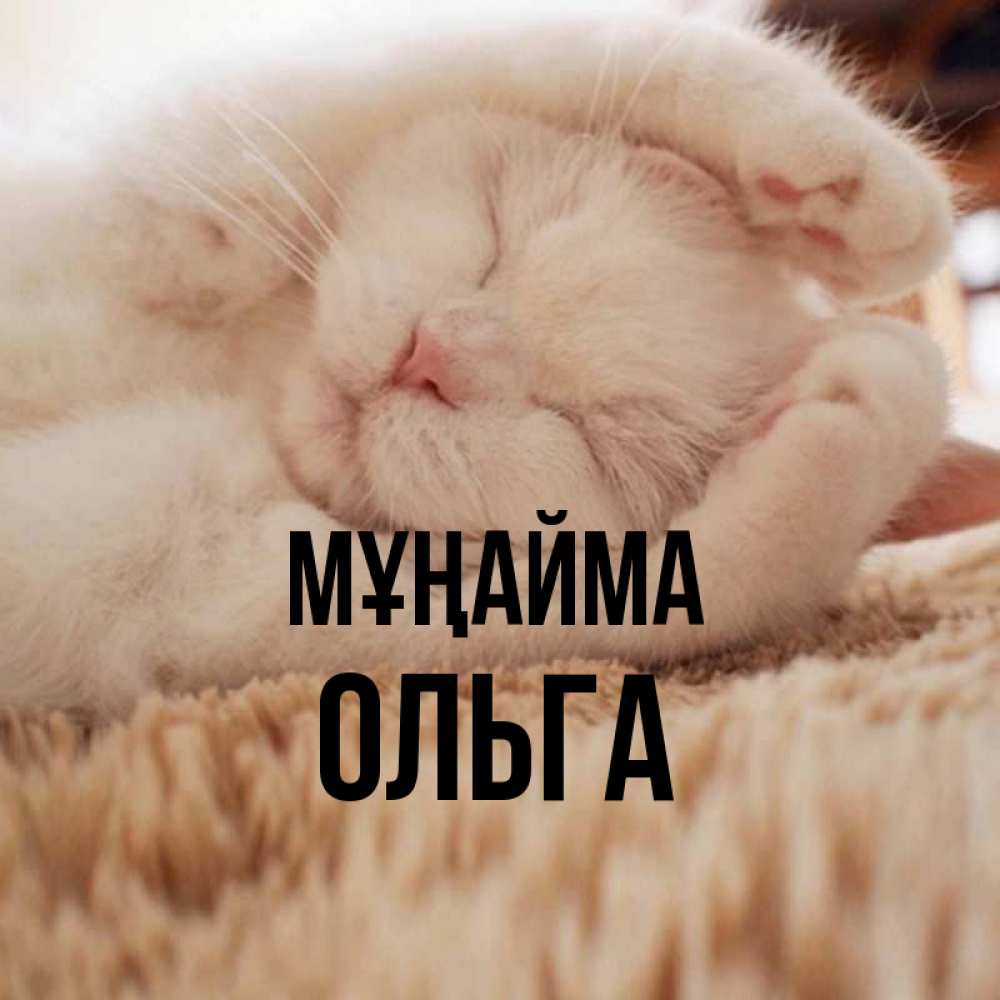 Күн сайын ашық хат с именем, Ольга Мұңайма Котенок спит Онлайн тегін жүктеп алу тілектері бар керемет карта 