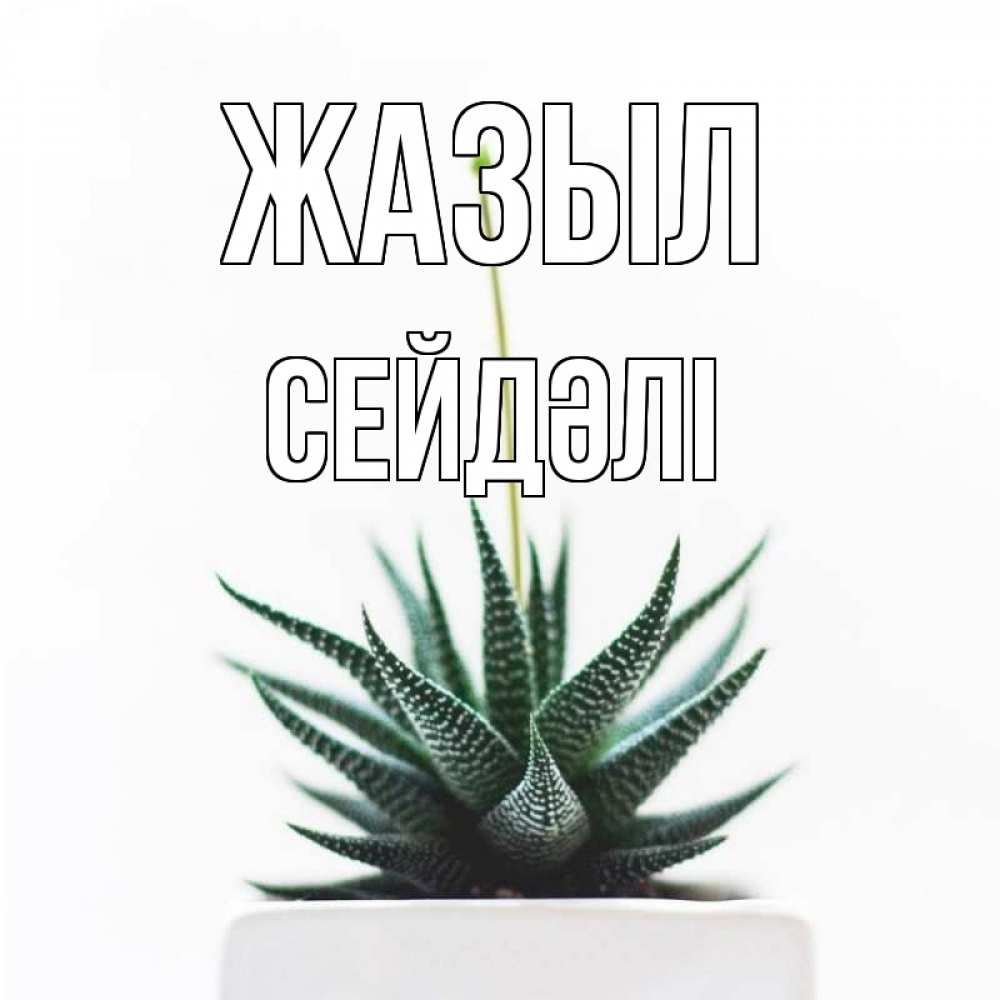 Күн сайын ашық хат с именем, СЕЙДӘЛІ Жазыл короче это непонятная колючка Онлайн тегін жүктеп алу тілектері бар керемет карта 