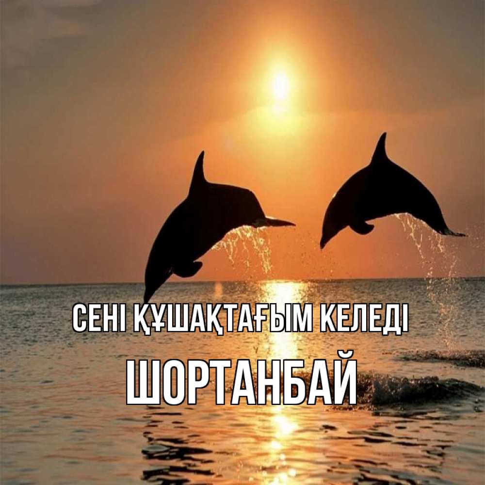 Күн сайын ашық хат с именем, ШОРТАНБАЙ сені құшақтағым келеді рыбы на закате Онлайн тегін жүктеп алу тілектері бар керемет карта 