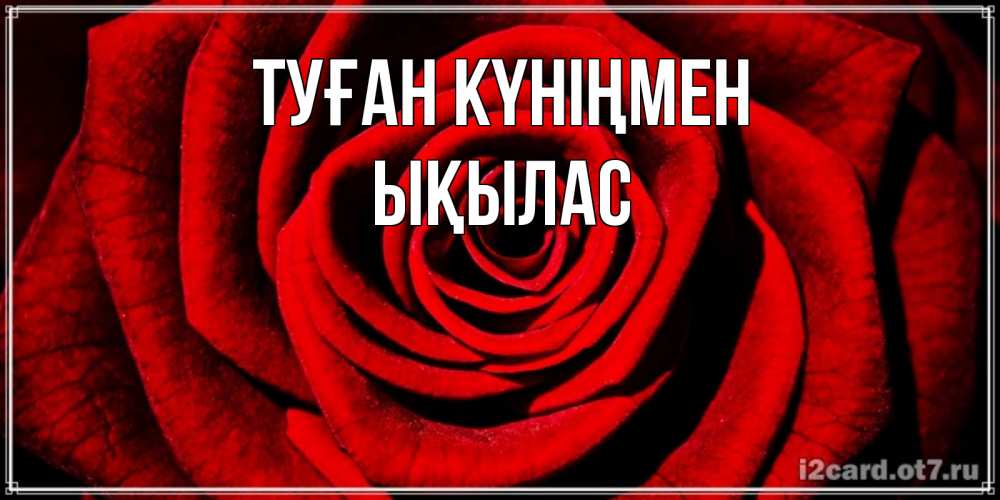 Күн сайын ашық хат с именем, ЫҚЫЛАС Туған күніңмен алая роза Онлайн тегін жүктеп алу тілектері бар керемет карта 