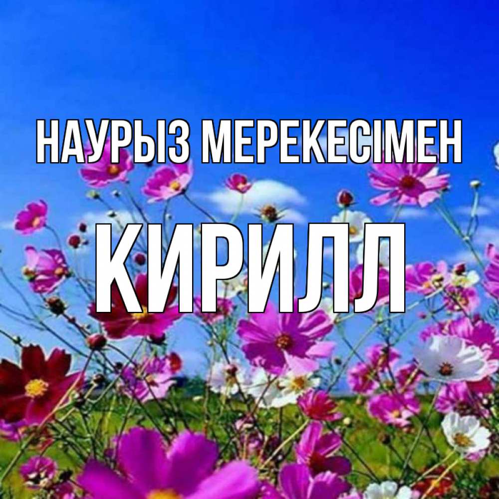 Күн сайын ашық хат с именем, Кирилл Наурыз мерекесімен цветы Онлайн тегін жүктеп алу тілектері бар керемет карта 