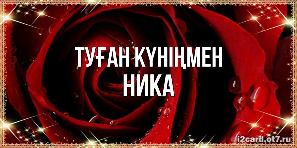 Күн сайын ашық хат с именем, Ника Туған күніңмен цветок в росе на день рождения Онлайн тегін жүктеп алу тілектері бар керемет карта 