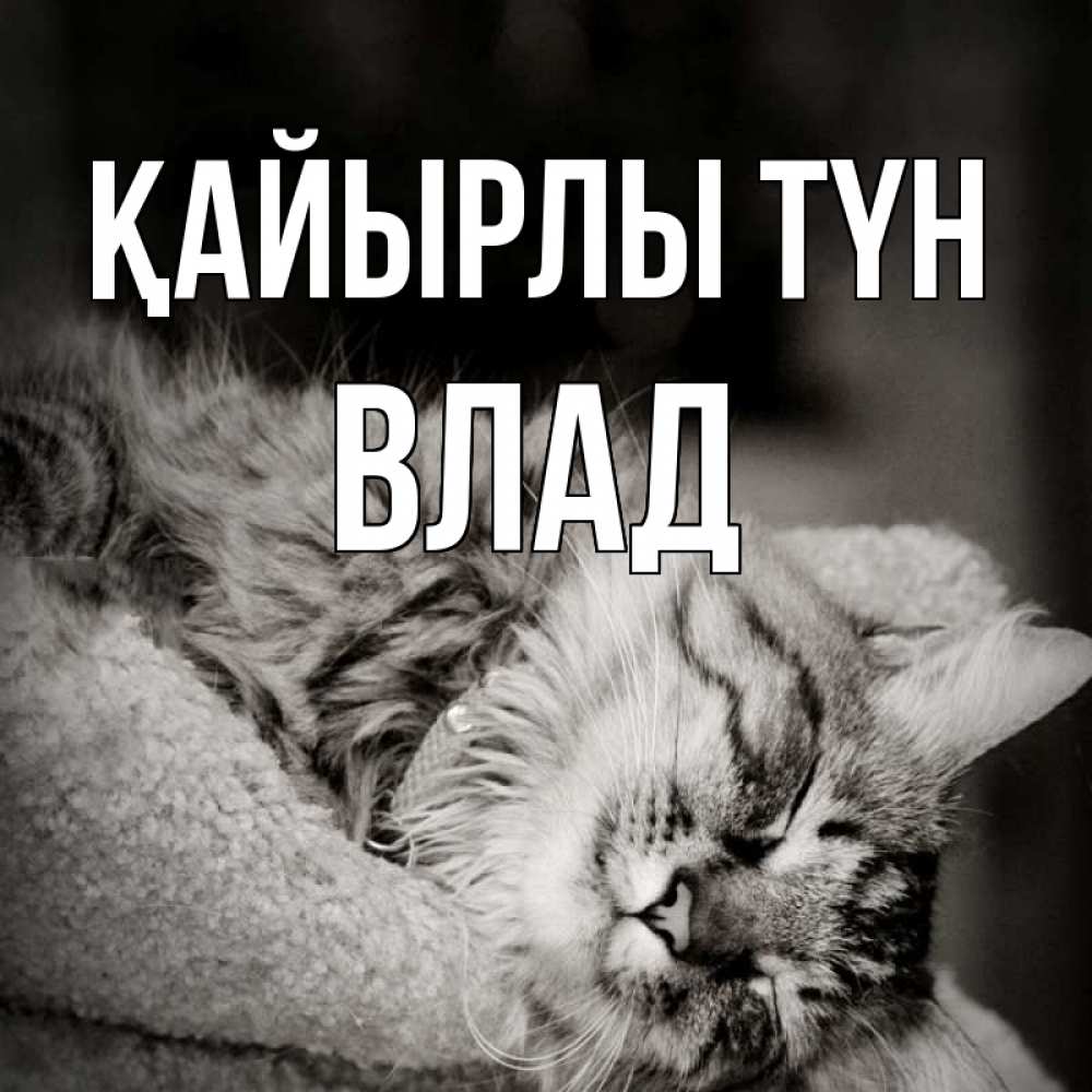 Күн сайын ашық хат с именем, Влад Қайырлы түн котярик пушистый Онлайн тегін жүктеп алу тілектері бар керемет карта 