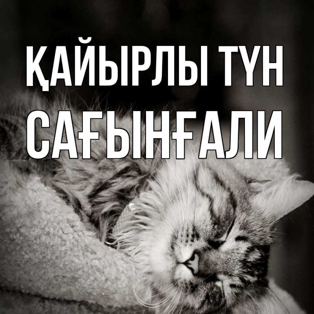 Күн сайын ашық хат с именем, Сағынғали Қайырлы түн котярик пушистый Онлайн тегін жүктеп алу тілектері бар керемет карта 