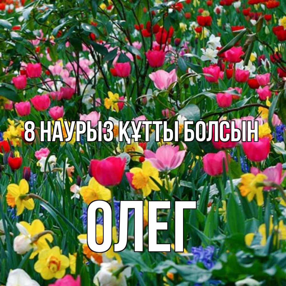 Күн сайын ашық хат с именем, Олег 8 наурыз құтты болсын с международным женским днем поздравления для женщины Онлайн тегін жүктеп алу тілектері бар керемет карта 