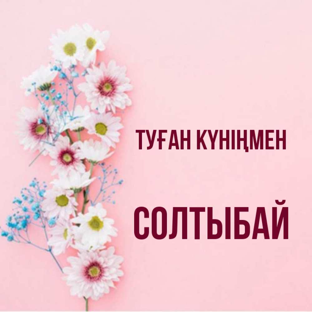 Күн сайын ашық хат с именем, СОЛТЫБАЙ Туған күніңмен Родная моя с днем рождения тебя картинка с цветами белыми и голубыми Онлайн тегін жүктеп алу тілектері бар керемет карта 