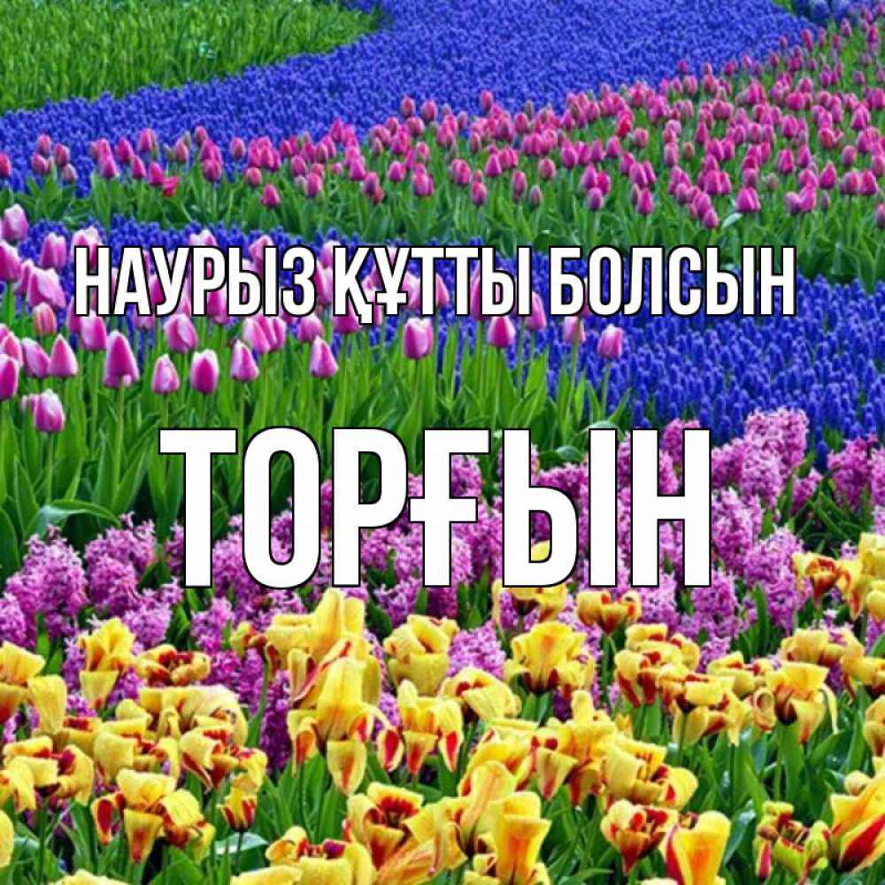 Күн сайын ашық хат с именем, ТОРҒЫН Наурыз құтты болсын цветы Онлайн тегін жүктеп алу тілектері бар керемет карта 