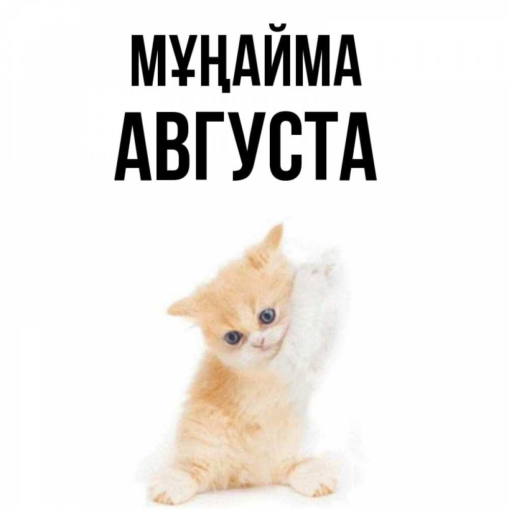 Күн сайын ашық хат с именем, Августа Мұңайма просящий кот Онлайн тегін жүктеп алу тілектері бар керемет карта 