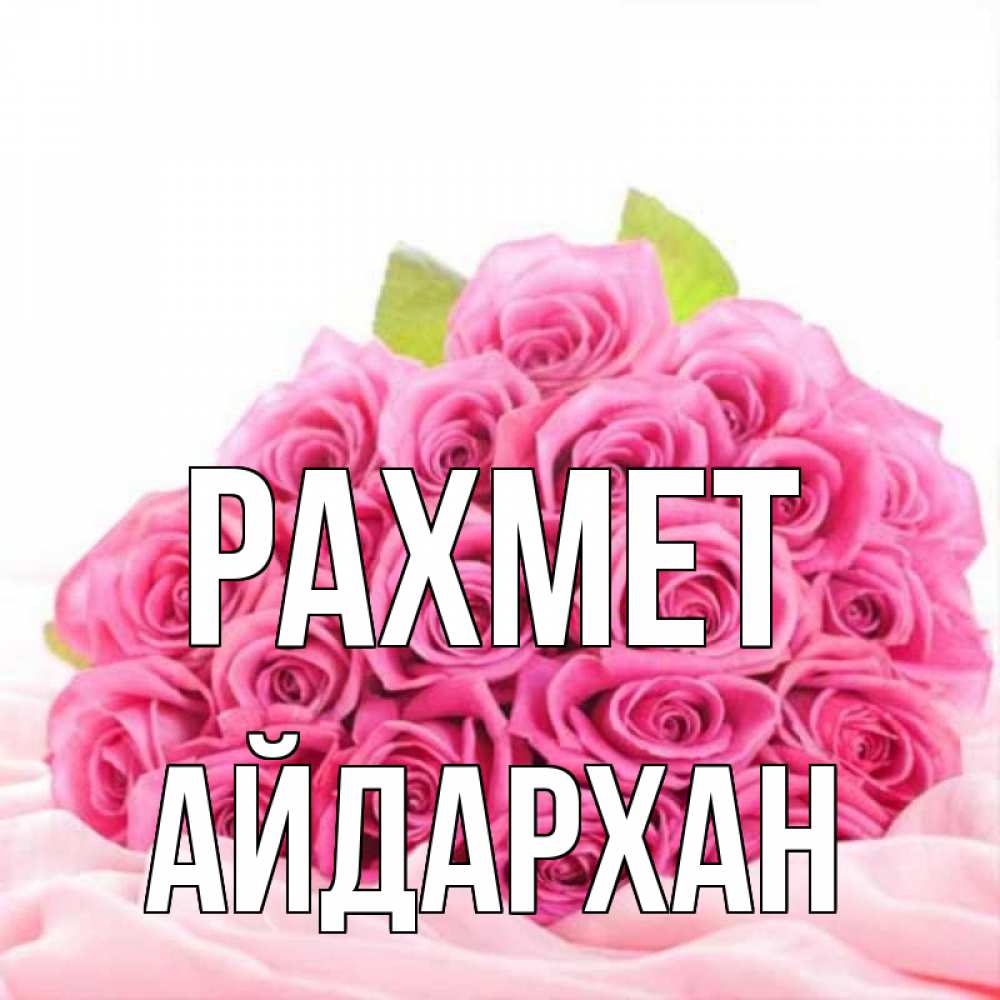 Күн сайын ашық хат с именем, Айдархан рахмет розовые розы с подписью Онлайн тегін жүктеп алу тілектері бар керемет карта 