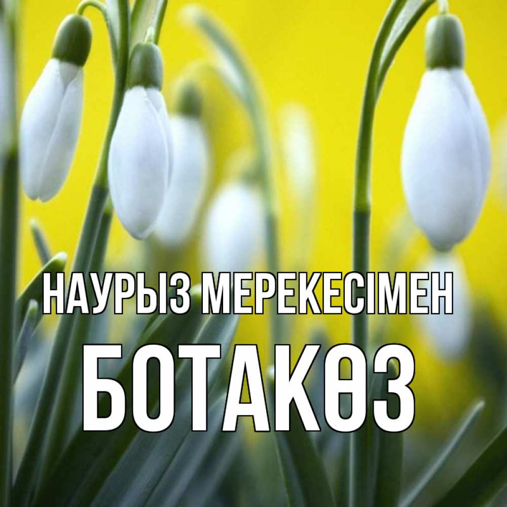 Күн сайын ашық хат с именем, БОТАКӨЗ Наурыз мерекесімен весенние цветы Онлайн тегін жүктеп алу тілектері бар керемет карта 