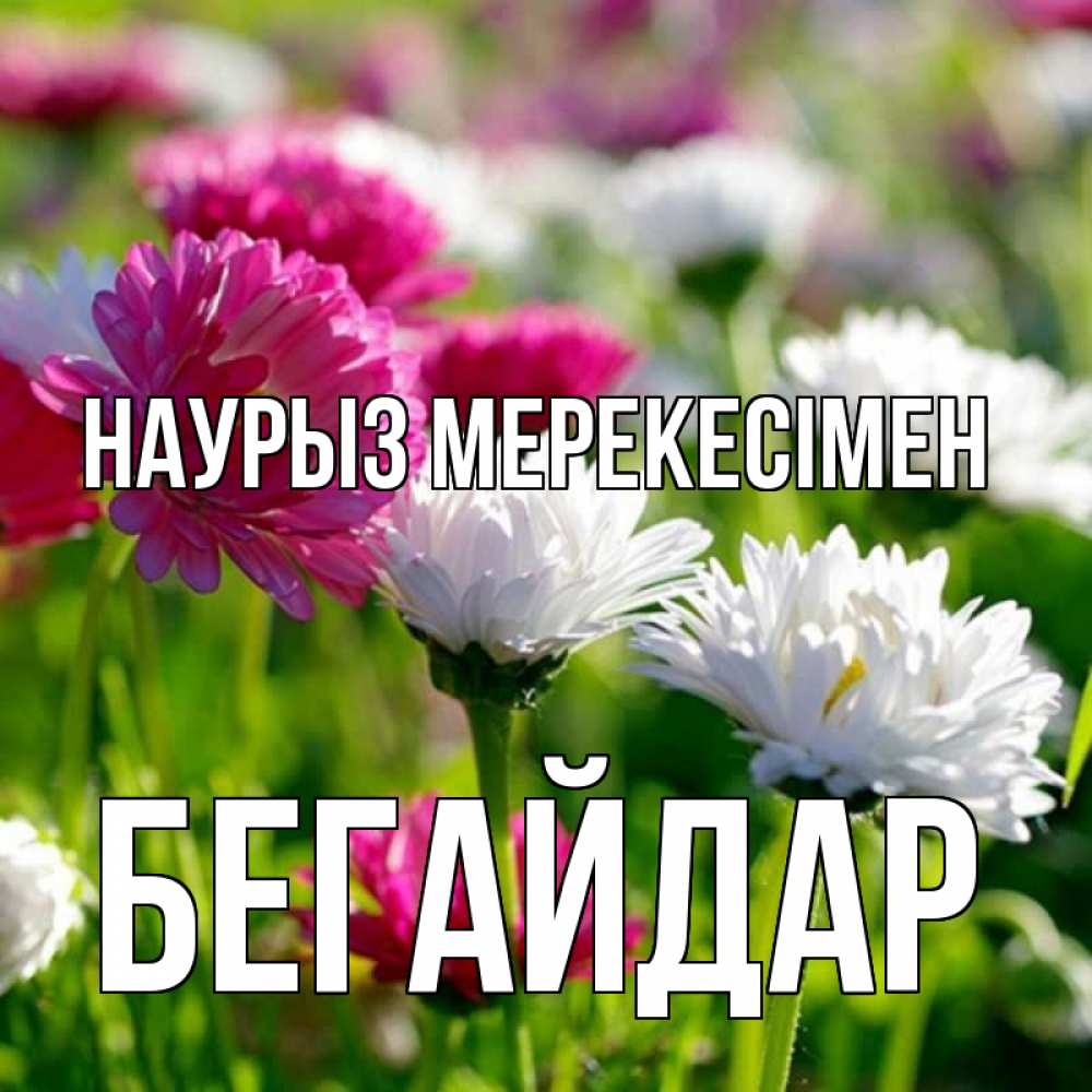 Күн сайын ашық хат с именем, Бегайдар Наурыз мерекесімен праздник весны наурыз красота Онлайн тегін жүктеп алу тілектері бар керемет карта 