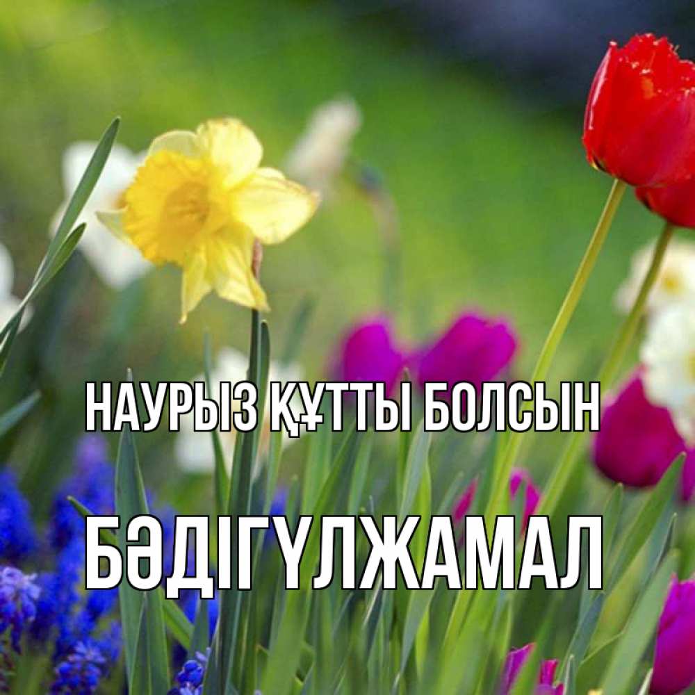 Күн сайын ашық хат с именем, БӘДІГҮЛЖАМАЛ Наурыз құтты болсын наурыз  3 открытки Онлайн тегін жүктеп алу тілектері бар керемет карта 