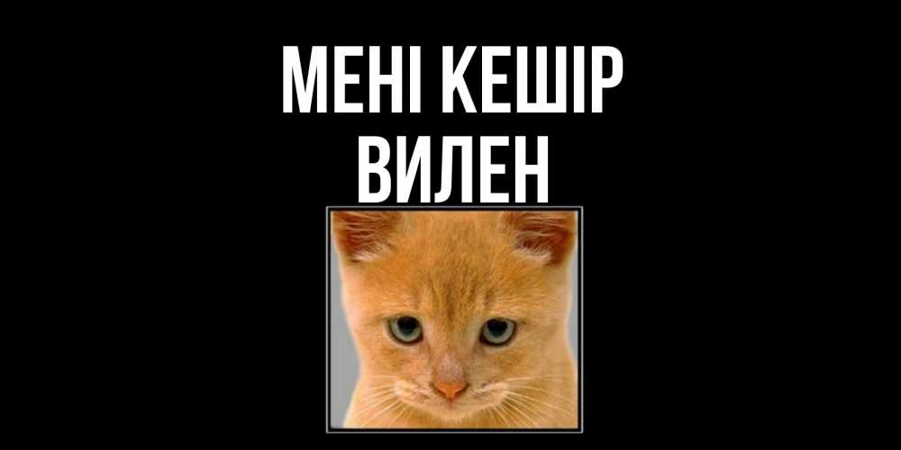 Күн сайын ашық хат с именем, Вилен Мені кешір рыжий грустный кот просит прощения Онлайн тегін жүктеп алу тілектері бар керемет карта 