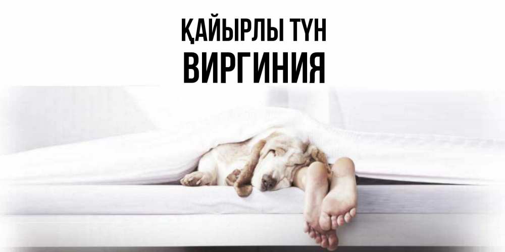 Күн сайын ашық хат с именем, Виргиния Қайырлы түн кровать с собакой пожелание сладких снов и спокойной ночи Онлайн тегін жүктеп алу тілектері бар керемет карта 