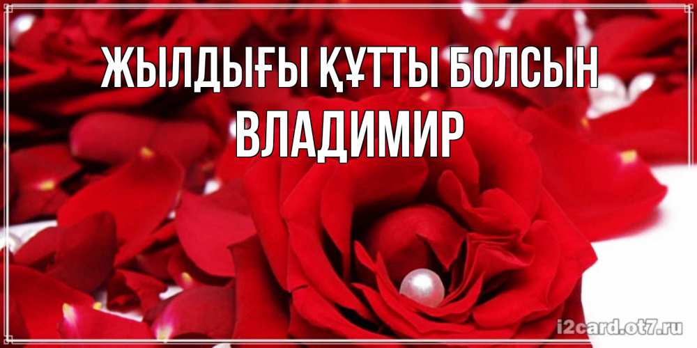 Күн сайын ашық хат с именем, Владимир Жылдығы құтты болсын роза с жемчужиной на открытке для любимых Онлайн тегін жүктеп алу тілектері бар керемет карта 