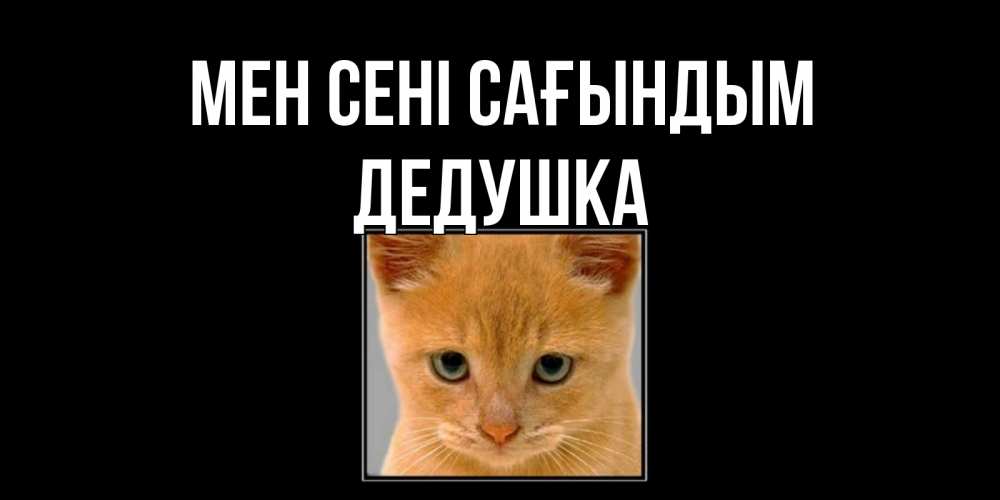 Күн сайын ашық хат с именем, Дедушка Мен сені сағындым открытки рыжий котенок скучает по тебе Онлайн тегін жүктеп алу тілектері бар керемет карта 