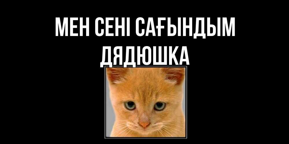 Күн сайын ашық хат с именем, Дядюшка Мен сені сағындым открытки рыжий котенок скучает по тебе Онлайн тегін жүктеп алу тілектері бар керемет карта 