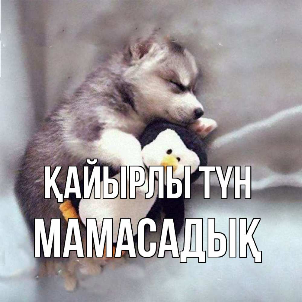 Күн сайын ашық хат с именем, МАМАСАДЫҚ Қайырлы түн обнимашки щенка и пингвина Онлайн тегін жүктеп алу тілектері бар керемет карта 