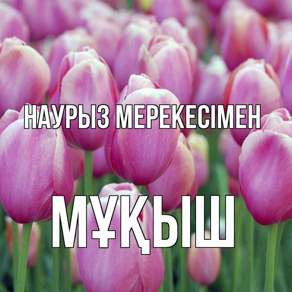Күн сайын ашық хат с именем, Мұқыш Наурыз мерекесімен праздник весны наурыз 69 Онлайн тегін жүктеп алу тілектері бар керемет карта 
