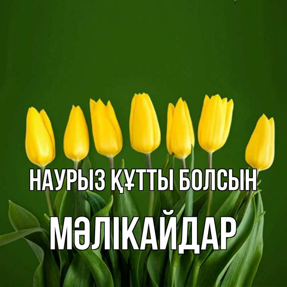 Күн сайын ашық хат с именем, МӘЛІКАЙДАР Наурыз құтты болсын желтого цвета 3 Онлайн тегін жүктеп алу тілектері бар керемет карта 