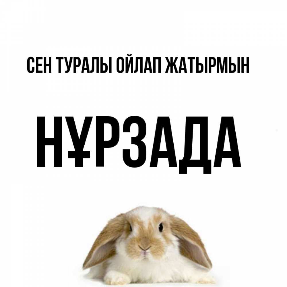 Күн сайын ашық хат с именем, НҰРЗАДА Сен туралы ойлап жатырмын подписать своими руками онлайн Онлайн тегін жүктеп алу тілектері бар керемет карта 
