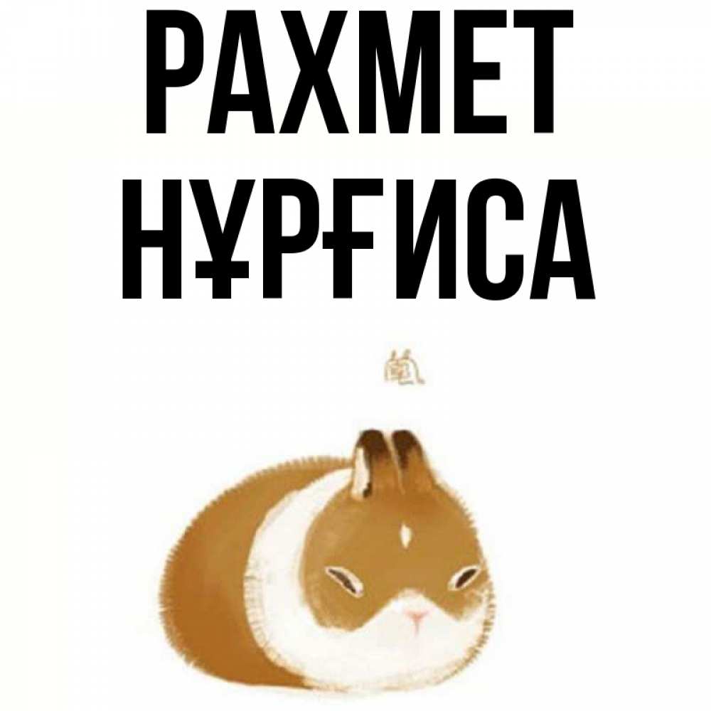 Күн сайын ашық хат с именем, НҰРҒИСА рахмет коричнево белый домашний питомец Онлайн тегін жүктеп алу тілектері бар керемет карта 