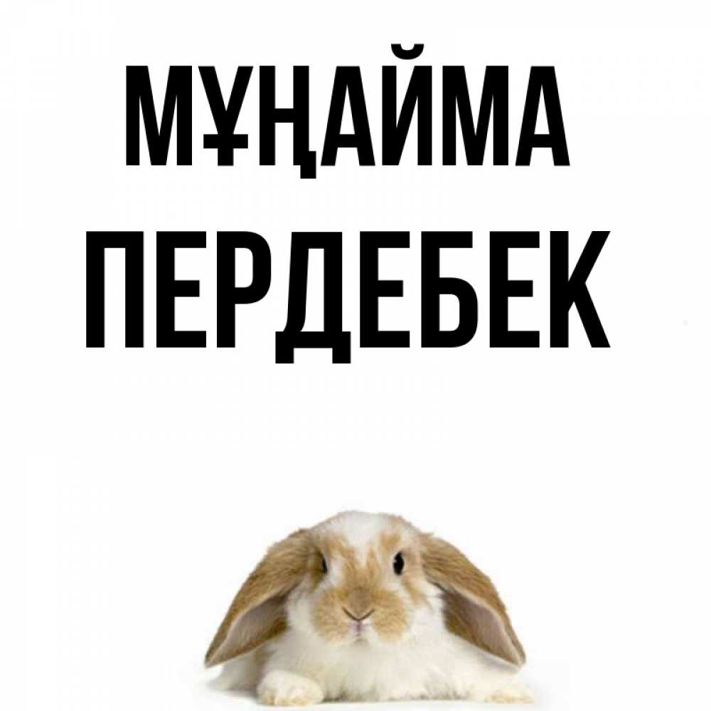 Күн сайын ашық хат с именем, ПЕРДЕБЕК Мұңайма коричнево белый заяц с большими ушками Онлайн тегін жүктеп алу тілектері бар керемет карта 