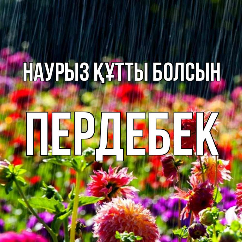 Күн сайын ашық хат с именем, ПЕРДЕБЕК Наурыз құтты болсын цветы под дождиком к наурызу Онлайн тегін жүктеп алу тілектері бар керемет карта 
