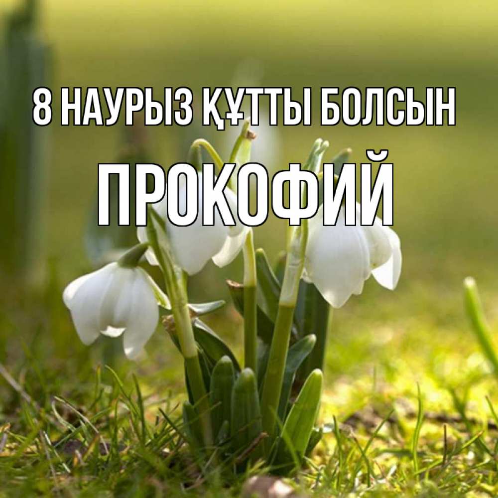 Күн сайын ашық хат с именем, Прокофий 8 наурыз құтты болсын ранние цветы 2 Онлайн тегін жүктеп алу тілектері бар керемет карта 