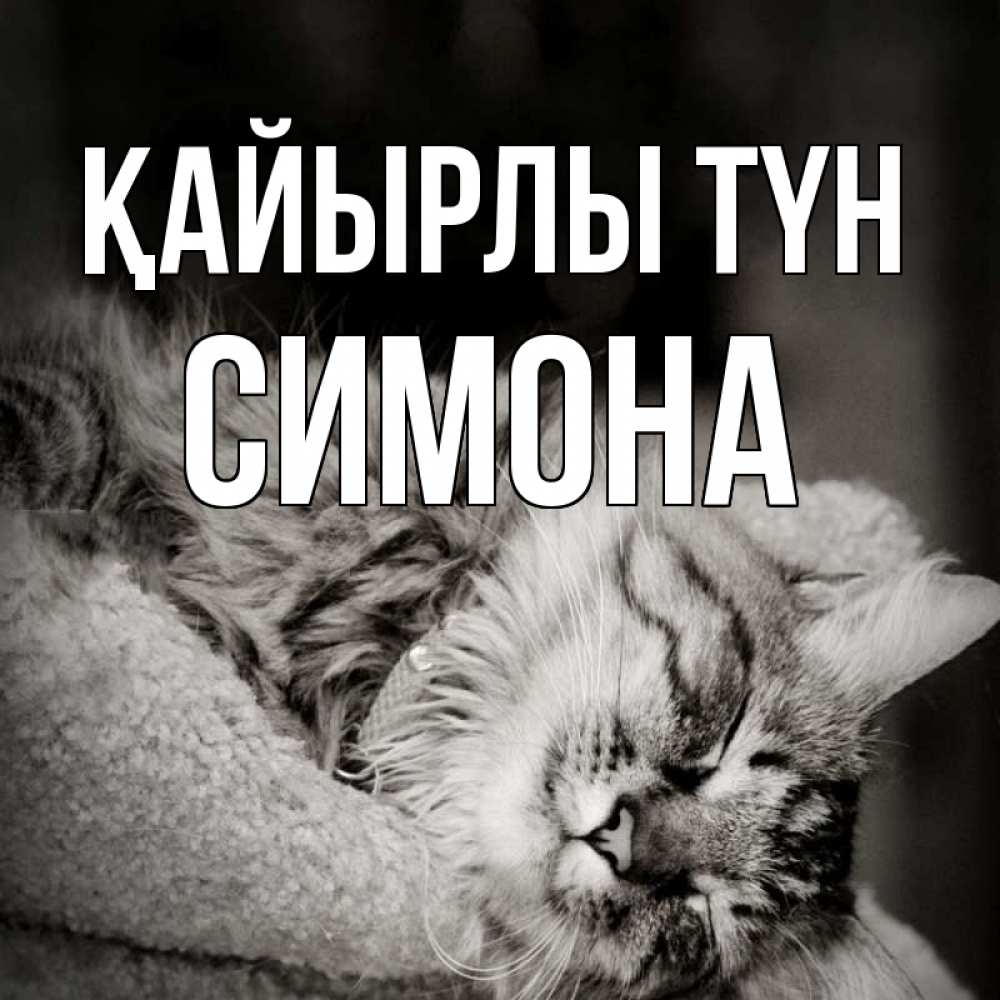 Күн сайын ашық хат с именем, Симона Қайырлы түн котярик пушистый Онлайн тегін жүктеп алу тілектері бар керемет карта 
