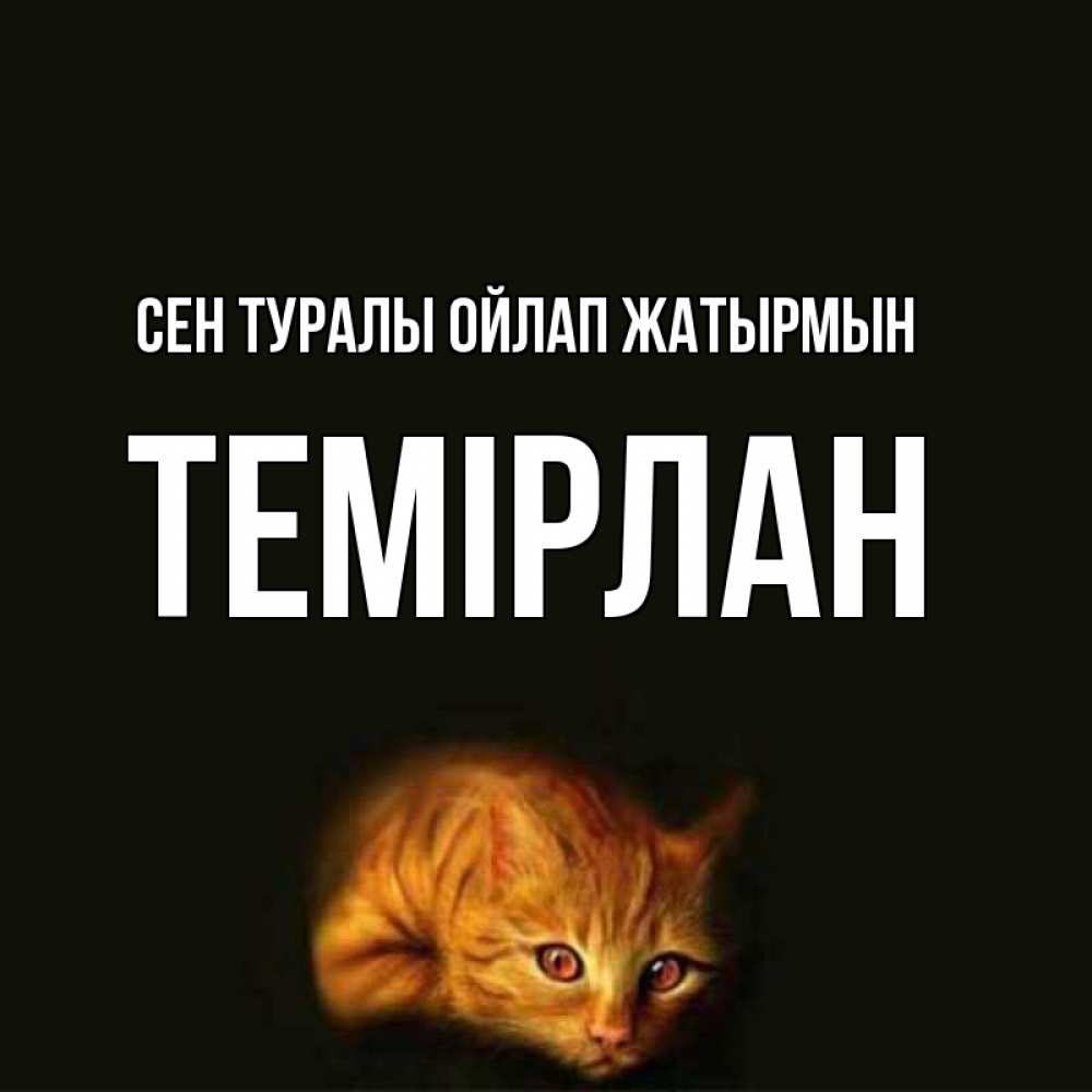 Күн сайын ашық хат с именем, ТЕМІРЛАН Сен туралы ойлап жатырмын рыжий Онлайн тегін жүктеп алу тілектері бар керемет карта 