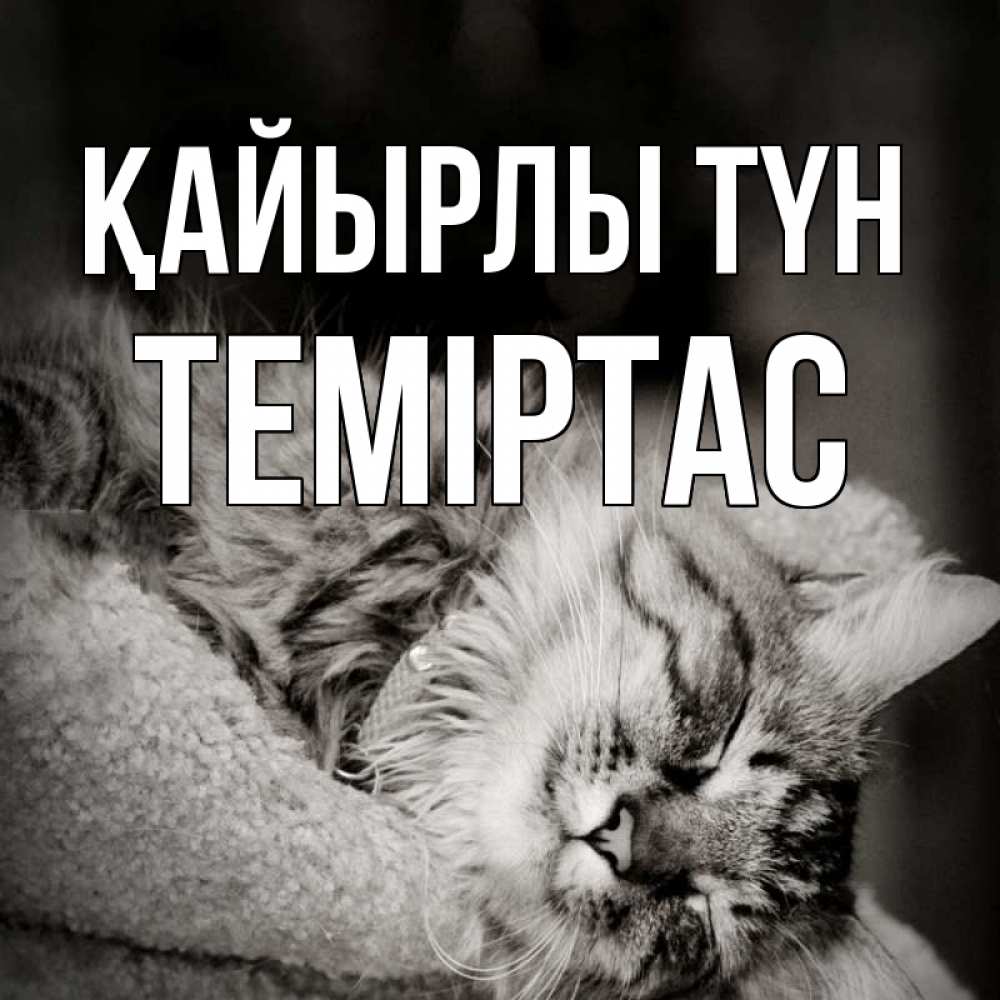 Күн сайын ашық хат с именем, ТЕМІРТАС Қайырлы түн котярик пушистый Онлайн тегін жүктеп алу тілектері бар керемет карта 