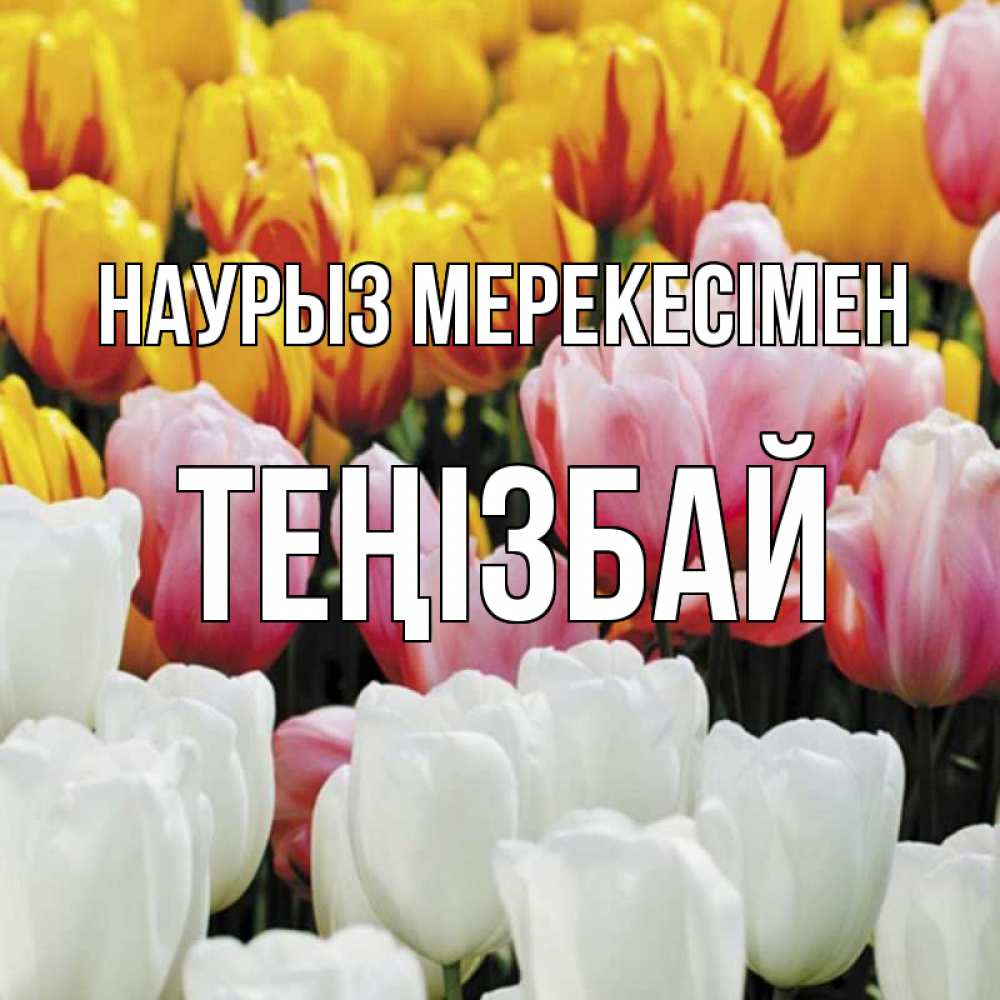 Күн сайын ашық хат с именем, ТЕҢІЗБАЙ Наурыз мерекесімен разноцветные цветы Онлайн тегін жүктеп алу тілектері бар керемет карта 