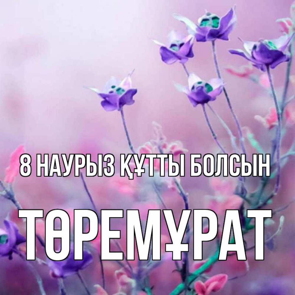 Күн сайын ашық хат с именем, Төремұрат 8 наурыз құтты болсын международный женский день 2 Онлайн тегін жүктеп алу тілектері бар керемет карта 