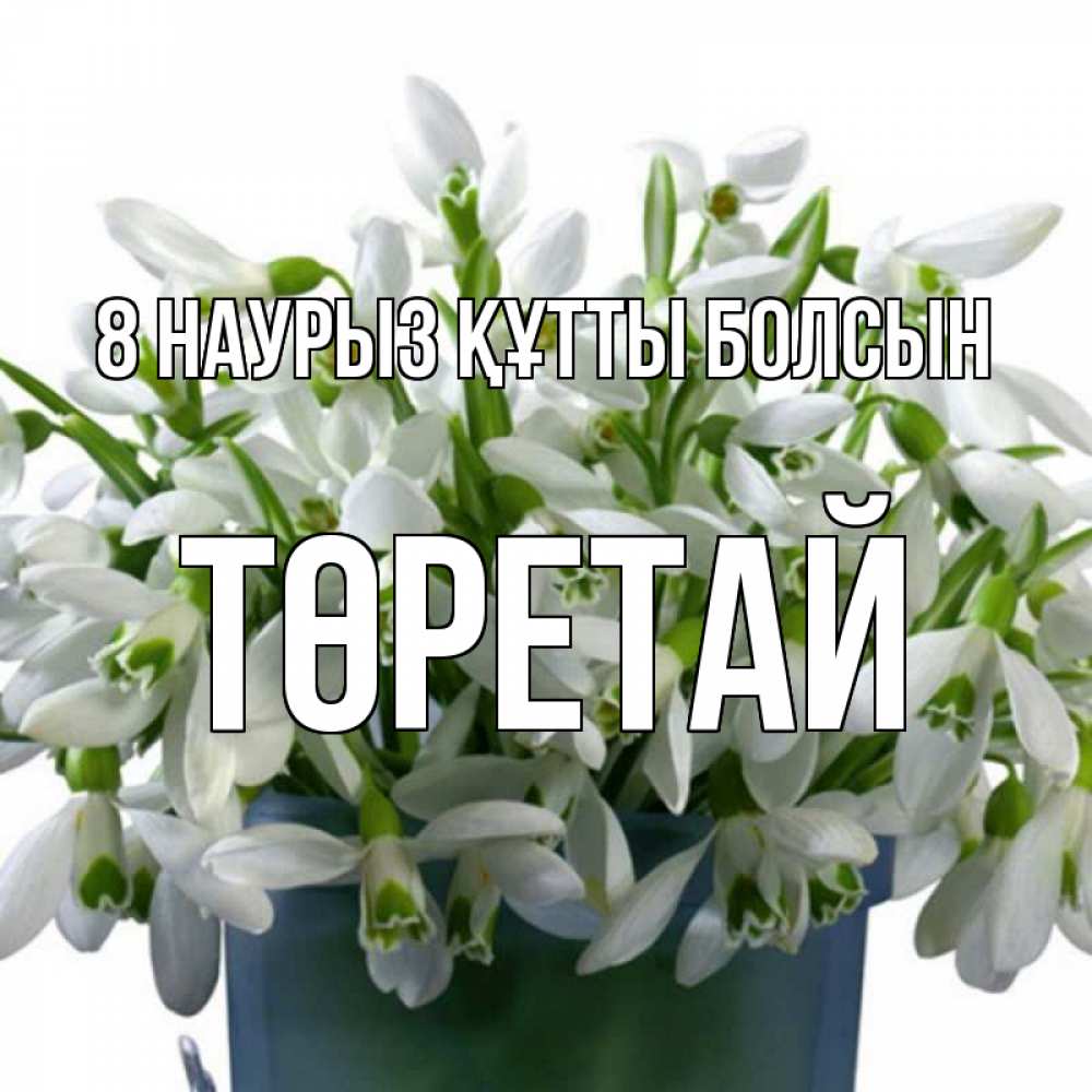Күн сайын ашық хат с именем, Төретай 8 наурыз құтты болсын цветы к международному женскому дню Онлайн тегін жүктеп алу тілектері бар керемет карта 