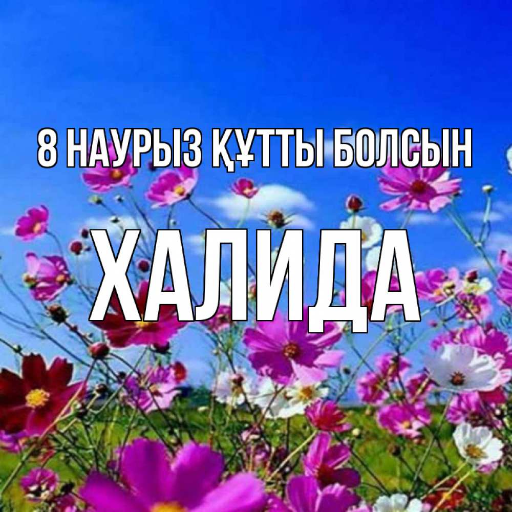 Күн сайын ашық хат с именем, ХАЛИДА 8 наурыз құтты болсын цветы Онлайн тегін жүктеп алу тілектері бар керемет карта 