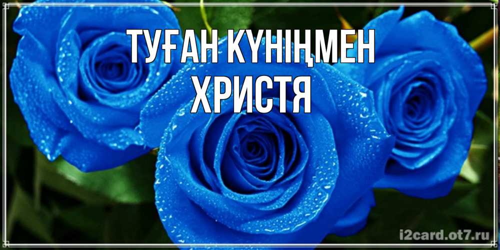 Күн сайын ашық хат с именем, Христя Туған күніңмен розы с синим цветом Онлайн тегін жүктеп алу тілектері бар керемет карта 