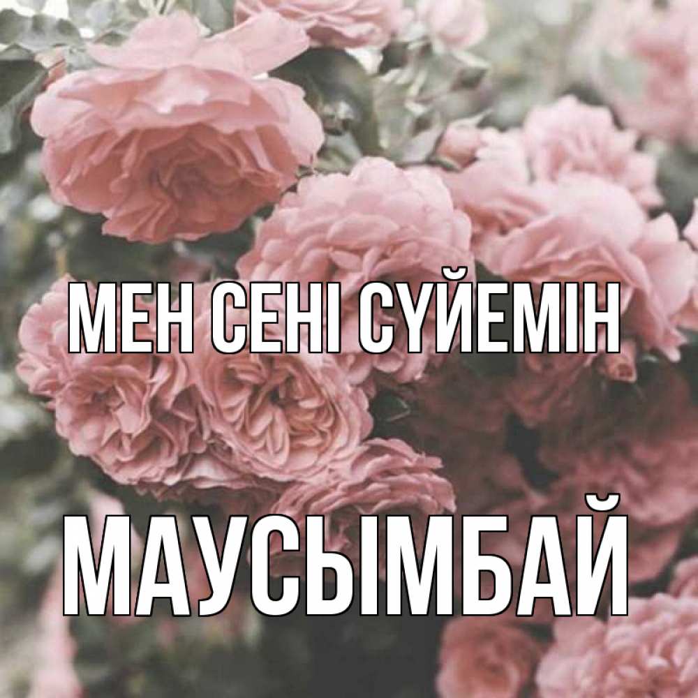 Күн сайын ашық хат с именем, МАУСЫМБАЙ Мен сені сүйемін розы 3 Онлайн тегін жүктеп алу тілектері бар керемет карта 
