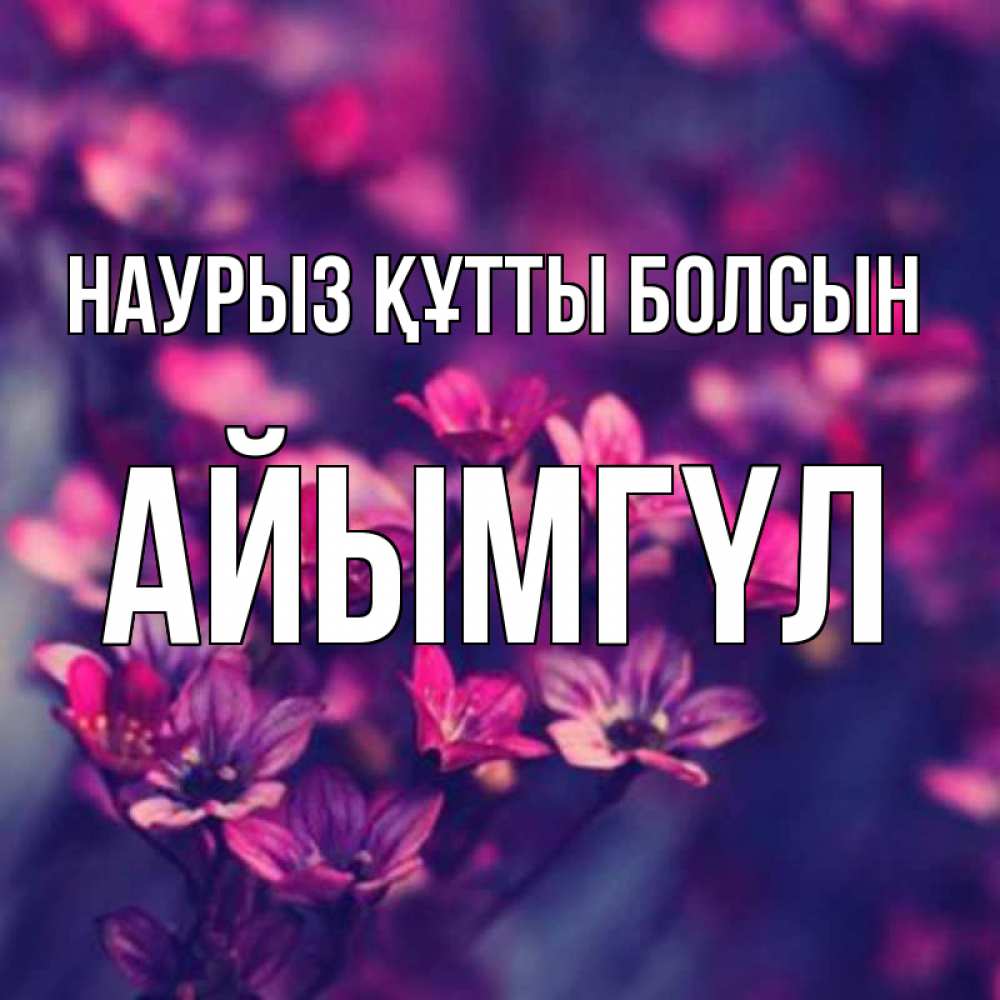 Күн сайын ашық хат с именем, АЙЫМГҮЛ Наурыз құтты болсын небольшие цветы 1 Онлайн тегін жүктеп алу тілектері бар керемет карта 