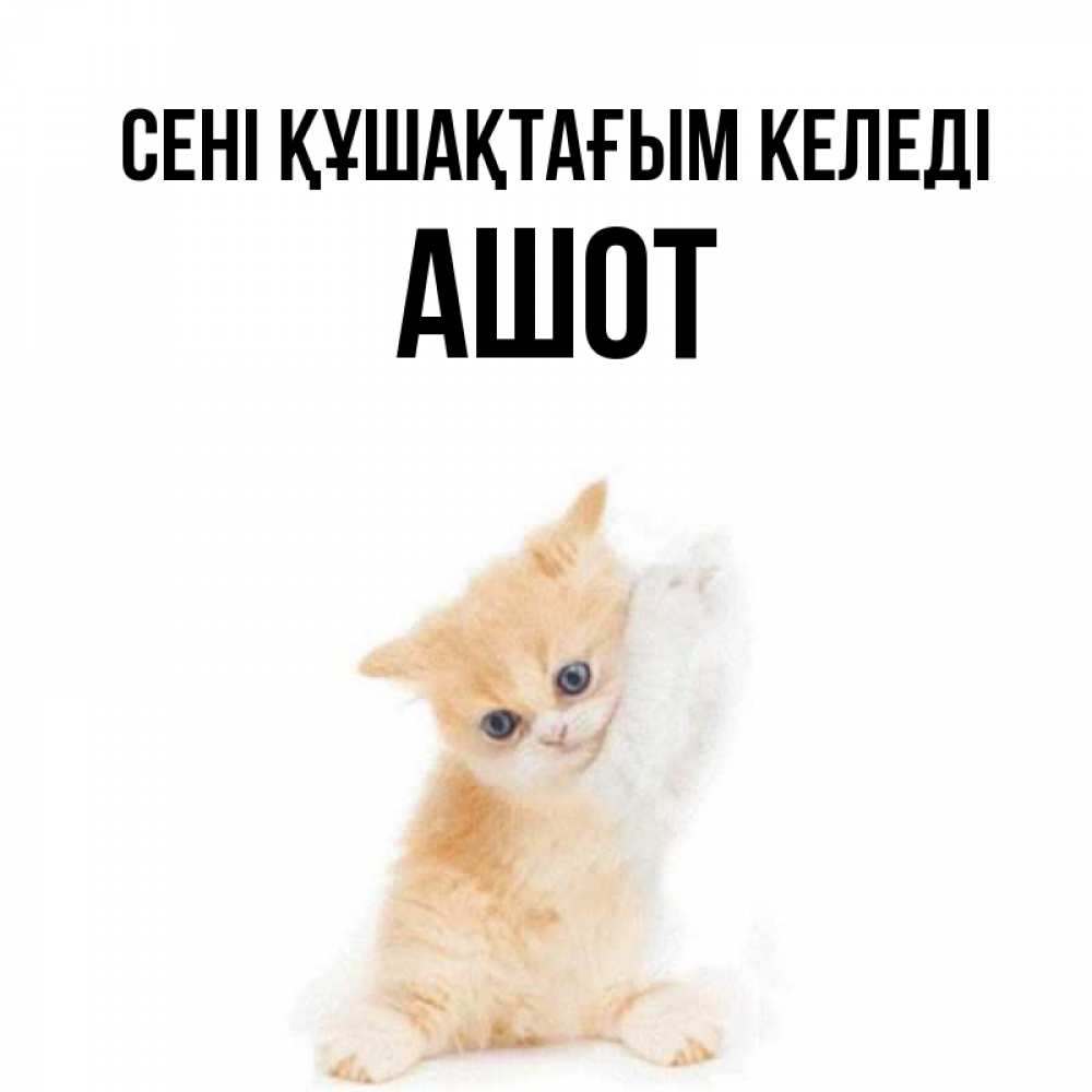 Күн сайын ашық хат с именем, Ашот сені құшақтағым келеді я хочу очень скорее обнимаешек Онлайн тегін жүктеп алу тілектері бар керемет карта 