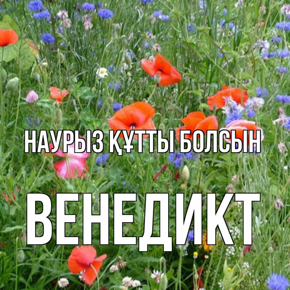 Күн сайын ашық хат с именем, Венедикт Наурыз құтты болсын наурыз  4 Онлайн тегін жүктеп алу тілектері бар керемет карта 