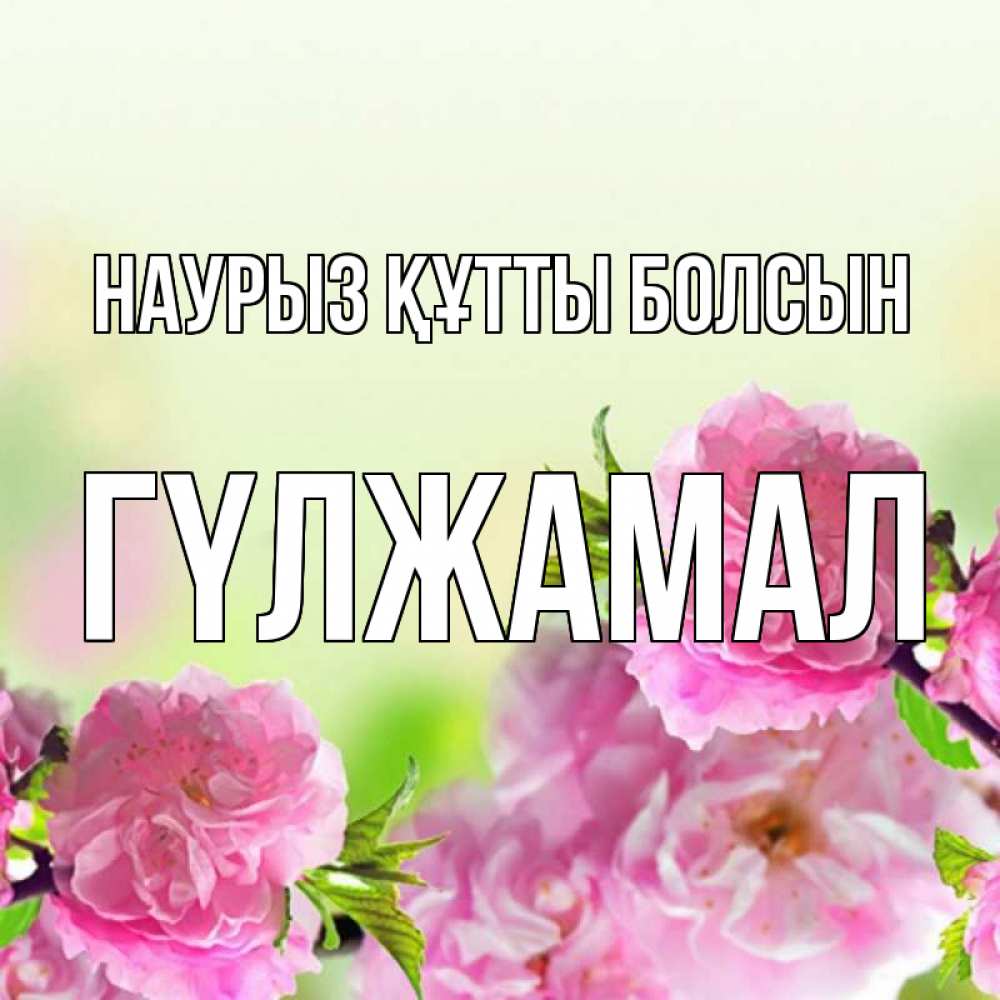 Күн сайын ашық хат с именем, ГҮЛЖАМАЛ Наурыз құтты болсын цветы Онлайн тегін жүктеп алу тілектері бар керемет карта 