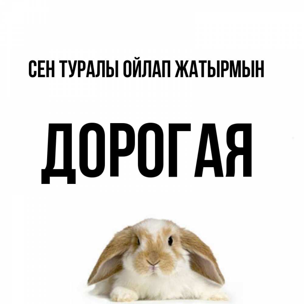 Күн сайын ашық хат с именем, Дорогая Сен туралы ойлап жатырмын подписать своими руками онлайн Онлайн тегін жүктеп алу тілектері бар керемет карта 