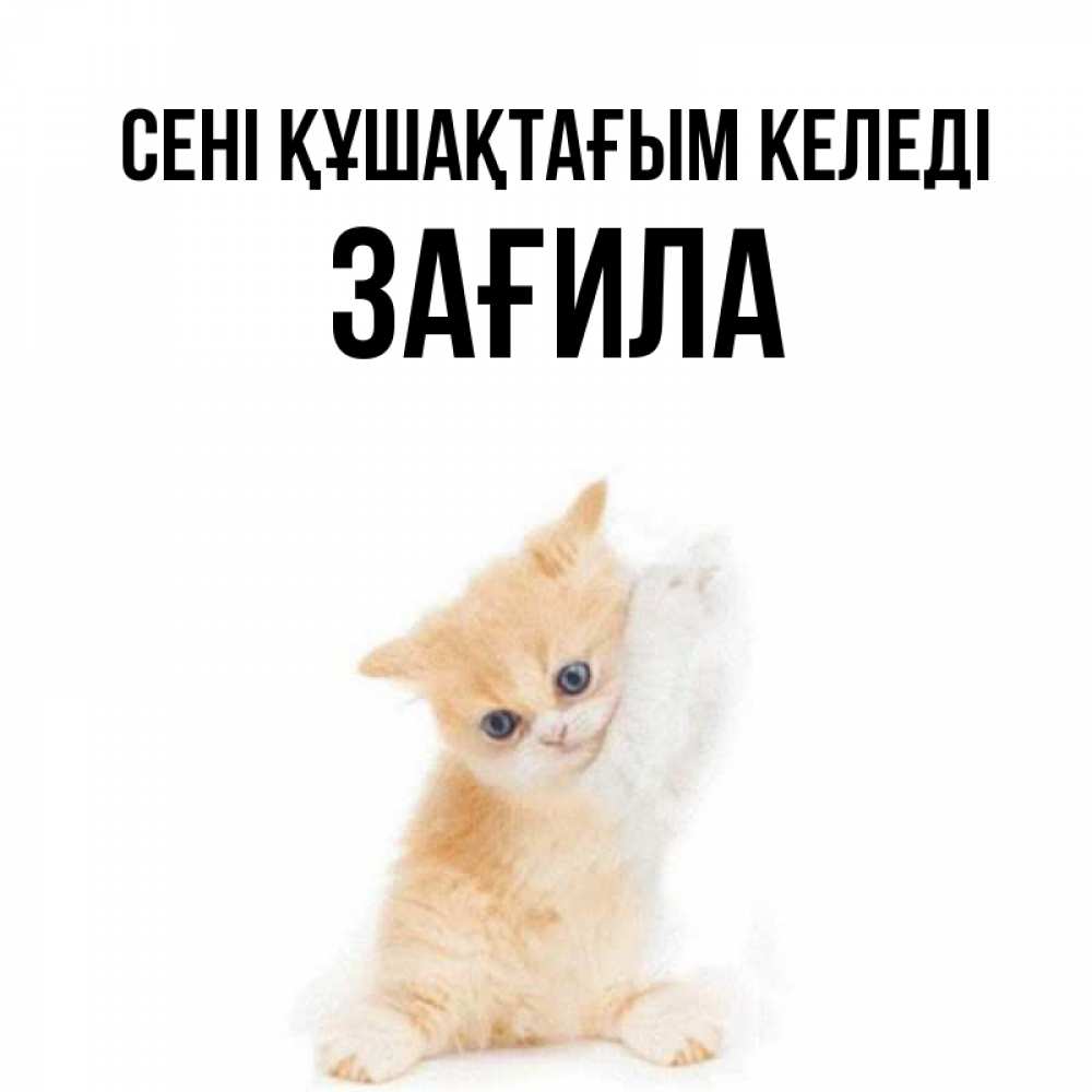 Күн сайын ашық хат с именем, ЗАҒИЛА сені құшақтағым келеді я хочу очень скорее обнимаешек Онлайн тегін жүктеп алу тілектері бар керемет карта 