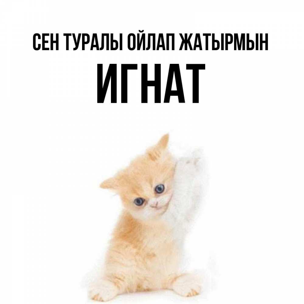Күн сайын ашық хат с именем, Игнат Сен туралы ойлап жатырмын зверушки и милота Онлайн тегін жүктеп алу тілектері бар керемет карта 